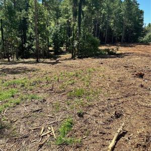 Photo #14 of 8061 Stroupe Farm, Tobaccoville, NC 5.5 acres
