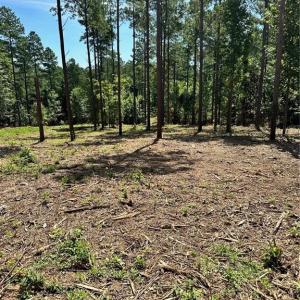 Photo #18 of 8061 Stroupe Farm, Tobaccoville, NC 5.5 acres