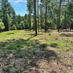Photo #15 of 8061 Stroupe Farm, Tobaccoville, NC 5.5 acres