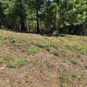 Photo #11 of 8061 Stroupe Farm, Tobaccoville, NC 5.5 acres