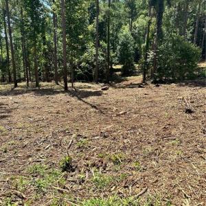Photo #19 of 8061 Stroupe Farm, Tobaccoville, NC 5.5 acres