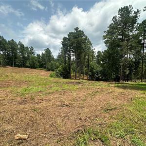Photo #4 of 8061 Stroupe Farm, Tobaccoville, NC 5.5 acres