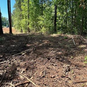 Photo #8 of 8061 Stroupe Farm, Tobaccoville, NC 5.5 acres