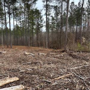 Photo #25 of 8061 Stroupe Farm, Tobaccoville, NC 5.5 acres