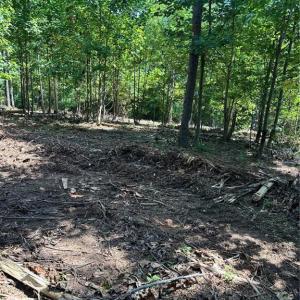 Photo #21 of 8061 Stroupe Farm, Tobaccoville, NC 5.5 acres