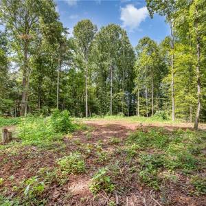 Photo #3 of 171 Lakeview, Mocksville, NC 0.8 acres