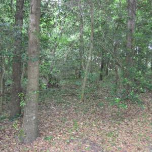 Photo #6 of SOLD property in 5216 Lunar Drive, Kitty Hawk, NC 0.3 acres