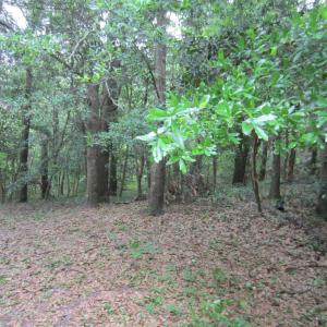 Photo #7 of SOLD property in 5216 Lunar Drive, Kitty Hawk, NC 0.3 acres