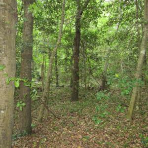 Photo #9 of SOLD property in 5216 Lunar Drive, Kitty Hawk, NC 0.3 acres