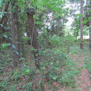 Photo #10 of SOLD property in 5216 Lunar Drive, Kitty Hawk, NC 0.3 acres