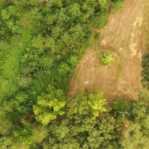 Photo #6 of Mulberry Academy, Franklinville, NC 33.5 acres