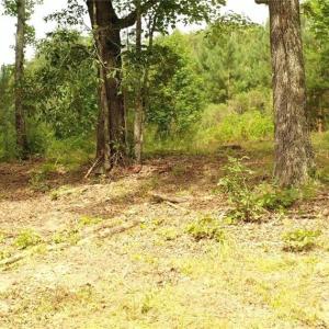 Photo #17 of Mulberry Academy, Franklinville, NC 33.5 acres
