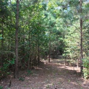 Photo #16 of Mulberry Academy, Franklinville, NC 33.5 acres