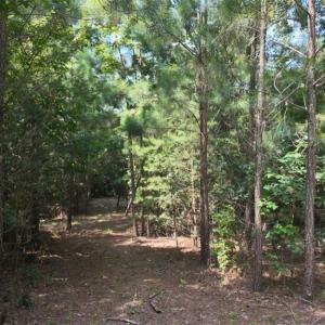 Photo #12 of Mulberry Academy, Franklinville, NC 33.5 acres