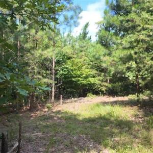 Photo #22 of Mulberry Academy, Franklinville, NC 33.5 acres