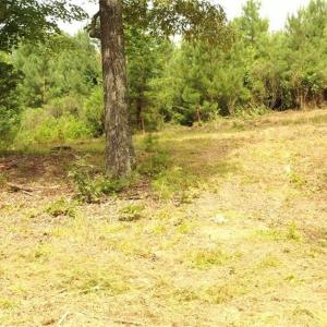 Photo #7 of Mulberry Academy, Franklinville, NC 33.5 acres