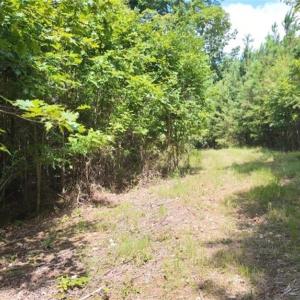 Photo #3 of Mulberry Academy, Franklinville, NC 33.5 acres