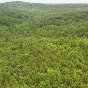 Photo #5 of Mulberry Academy, Franklinville, NC 33.5 acres