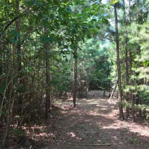 Photo #20 of Mulberry Academy, Franklinville, NC 33.5 acres