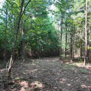 Photo #9 of Mulberry Academy, Franklinville, NC 33.5 acres