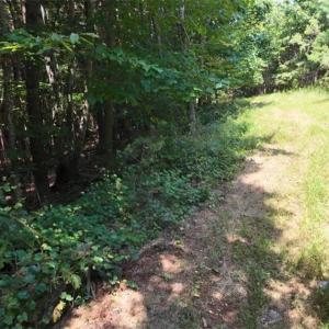 Photo #24 of Mulberry Academy, Franklinville, NC 33.5 acres
