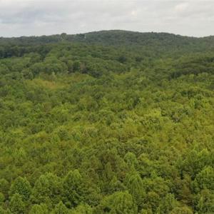 Photo #14 of Mulberry Academy, Franklinville, NC 33.5 acres