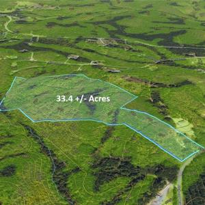 Photo #15 of Mulberry Academy, Franklinville, NC 33.5 acres