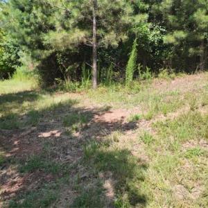 Photo #11 of Mulberry Academy, Franklinville, NC 33.5 acres