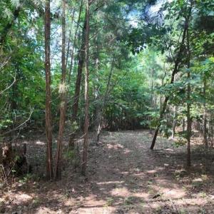 Photo #19 of Mulberry Academy, Franklinville, NC 33.5 acres