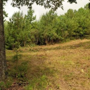 Photo #21 of Mulberry Academy, Franklinville, NC 33.5 acres