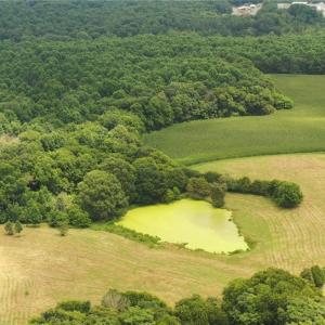 Photo #23 of 3037 Deep River Church, Ramseur, NC 34.5 acres