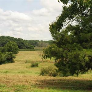 Photo #2 of 3037 Deep River Church, Ramseur, NC 34.5 acres
