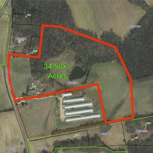 Photo #6 of 3037 Deep River Church, Ramseur, NC 34.5 acres