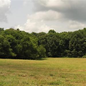 Photo #12 of 3037 Deep River Church, Ramseur, NC 34.5 acres