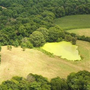 Photo #26 of 3037 Deep River Church, Ramseur, NC 34.5 acres