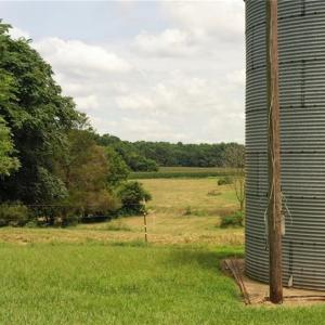 Photo #22 of 3037 Deep River Church, Ramseur, NC 34.5 acres