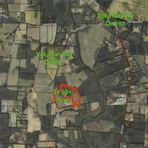 Photo #28 of 3037 Deep River Church, Ramseur, NC 34.5 acres