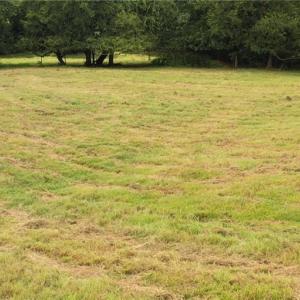 Photo #18 of 3037 Deep River Church, Ramseur, NC 34.5 acres