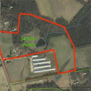 Photo #31 of 3037 Deep River Church, Ramseur, NC 34.5 acres