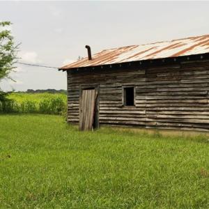 Photo #25 of 3037 Deep River Church, Ramseur, NC 34.5 acres
