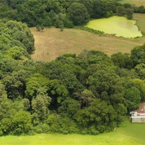 Photo #21 of 3037 Deep River Church, Ramseur, NC 34.5 acres