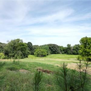 Photo #2 of NC Highway 49, Denton, NC 74.0 acres