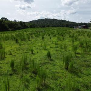 Photo #12 of NC Highway 49, Denton, NC 74.0 acres