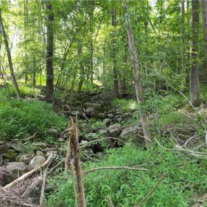 Photo #22 of NC Highway 49, Denton, NC 74.0 acres