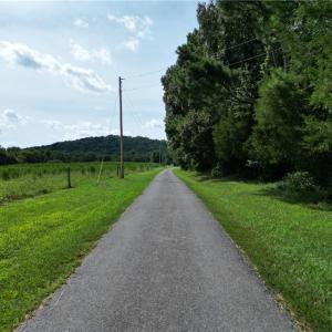 Photo #7 of NC Highway 49, Denton, NC 74.0 acres