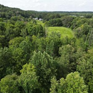 Photo #20 of NC Highway 49, Denton, NC 74.0 acres