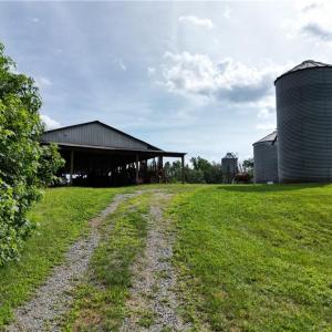 Photo #9 of NC Highway 49, Denton, NC 74.0 acres