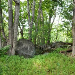 Photo #30 of NC Highway 49, Denton, NC 74.0 acres