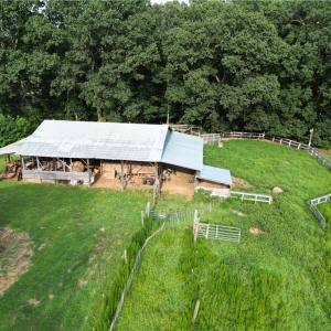 Photo #10 of NC Highway 49, Denton, NC 74.0 acres