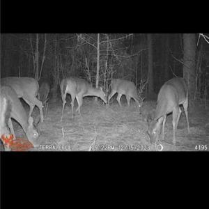 Photo #50 of NC Highway 49, Denton, NC 74.0 acres